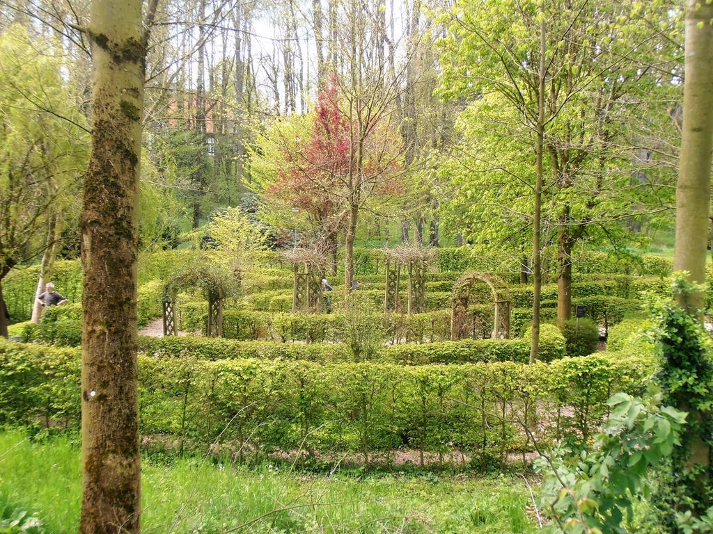 Gasthaus Schadde Флото Экстерьер фото